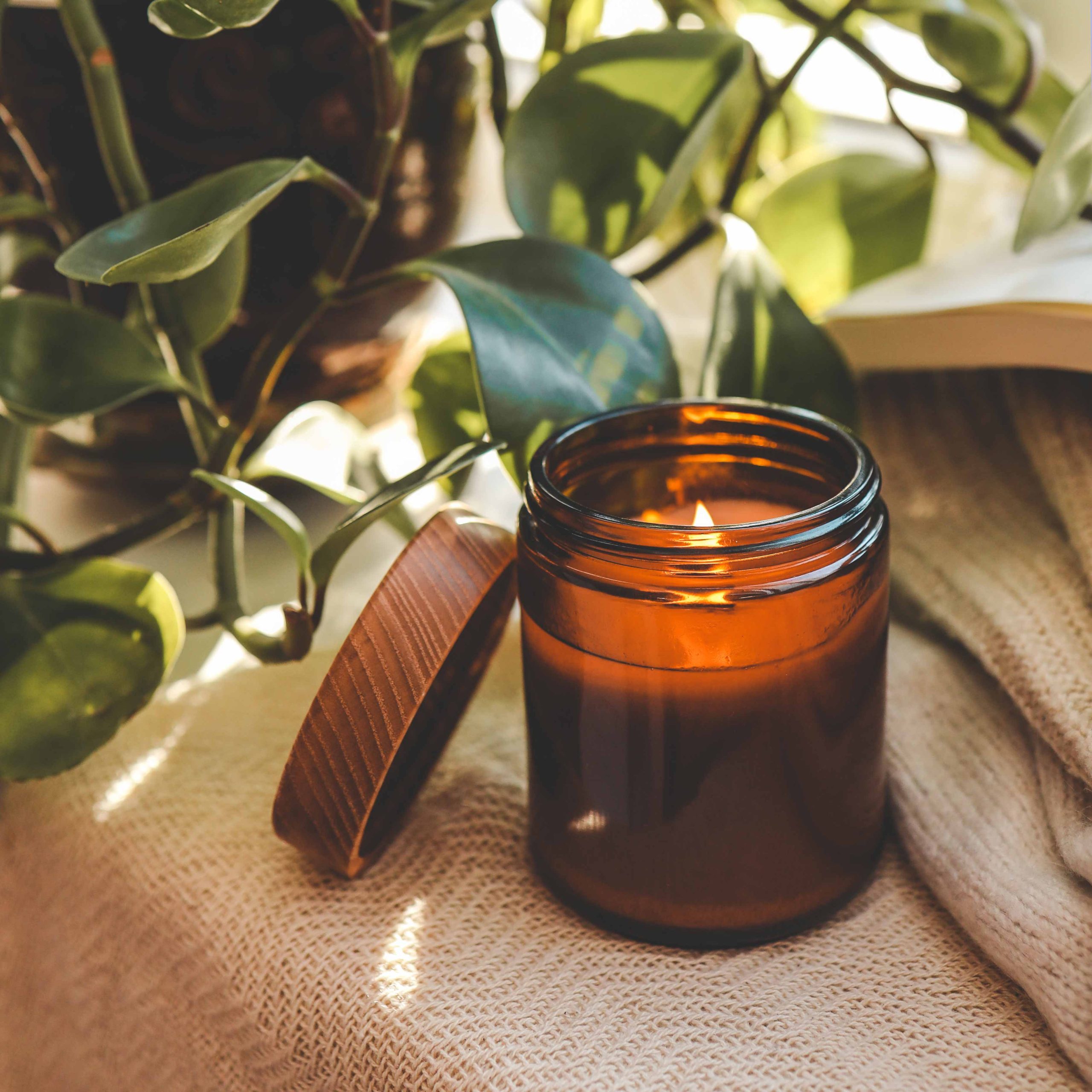 gold coast counseller online gold coast counseller online